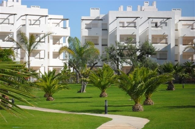 Property to Let long Term in Murcia Spain gallery image 2