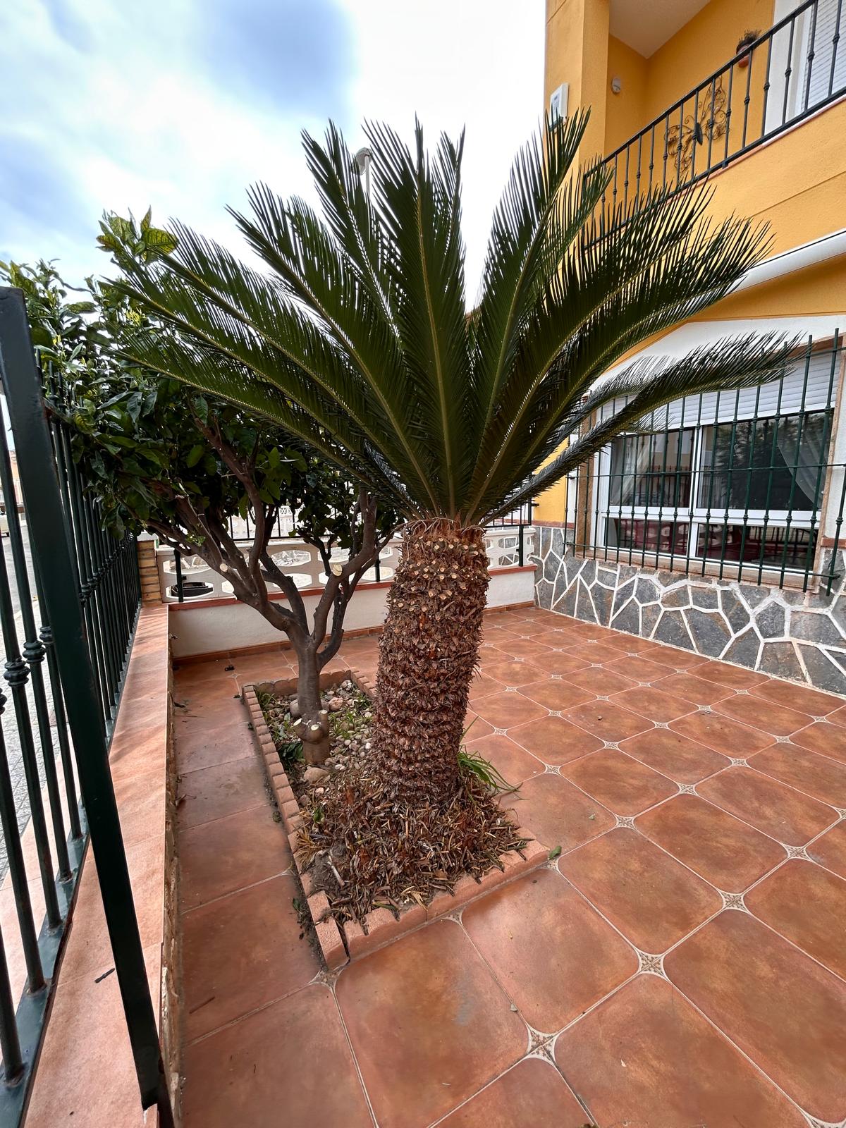Long Term Property Rentals Golf Resorts Murcia Spain gallery image 4